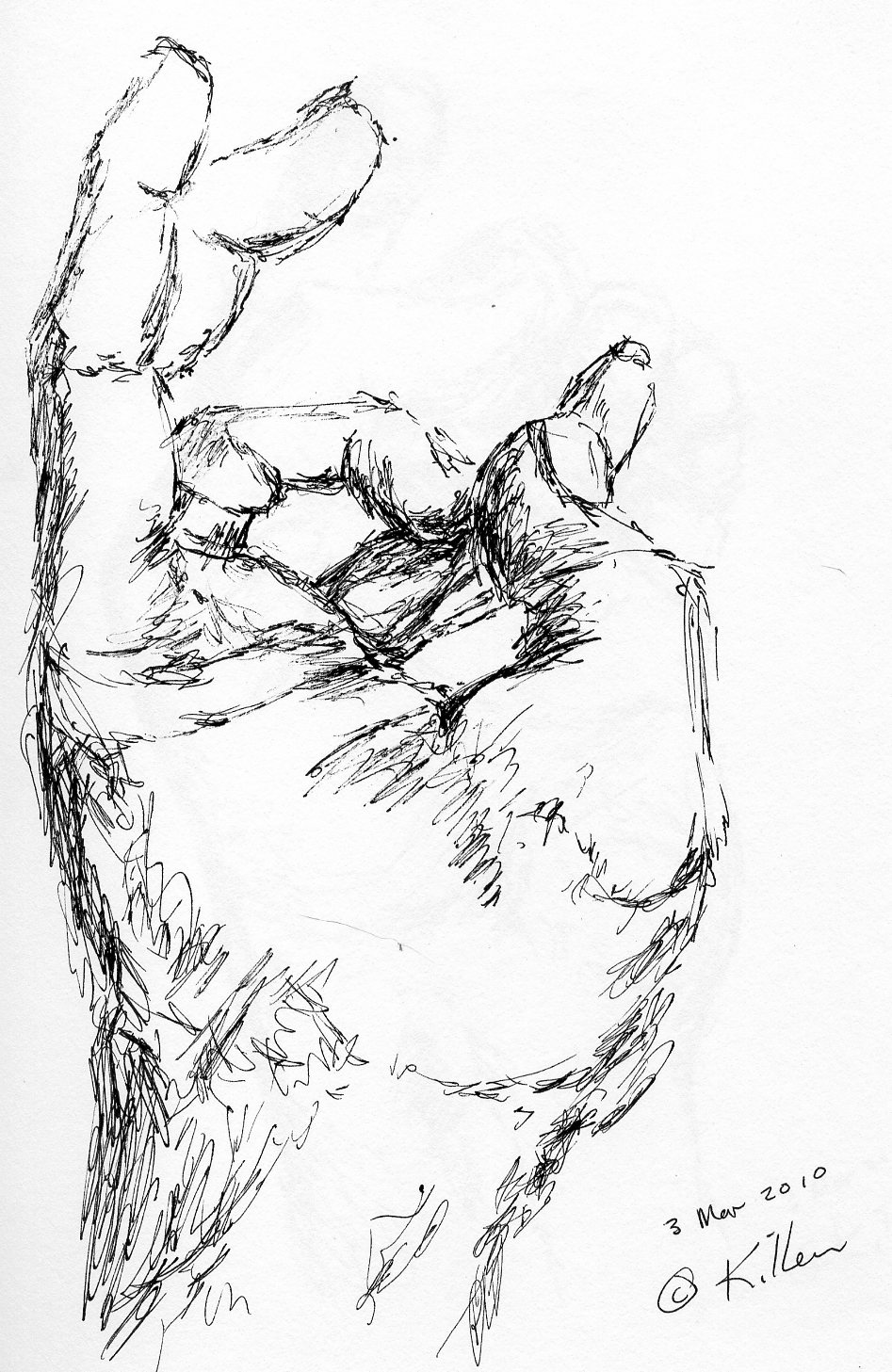 palm hand sketch